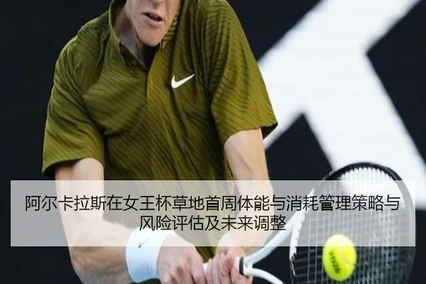 a-er-ka-la-si-zai-nv-wang-bei-cao-di-shou-zhou-ti-neng-yu-xiao-hao-guan-li-ce-lve-yu-feng-xian-ping-gu-ji-wei-lai-tiao-2-501.jpg