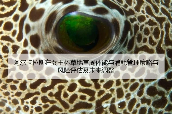 阿尔卡拉斯在女王杯草地首周体能与消耗管理策略与风险评估及未来调整