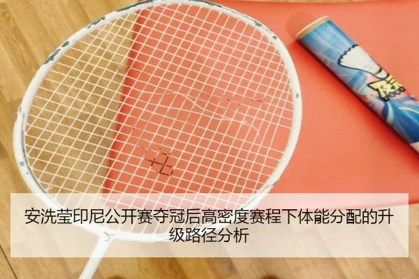 an-xi-ying-yin-ni-gong-kai-sai-duo-guan-hou-gao-mi-du-sai-cheng-xia-ti-neng-fen-pei-de-sheng-ji-lu-jing-fen-xi-2-909.jpg