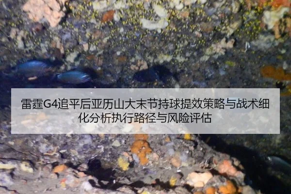 lei-ting-zhui-ping-hou-ya-li-shan-da-mo-jie-chi-qiu-ti-xiao-ce-lve-yu-zhan-shu-xi-hua-fen-xi-zhi-xing-lu-jing-yu-feng-2-149.jpg
