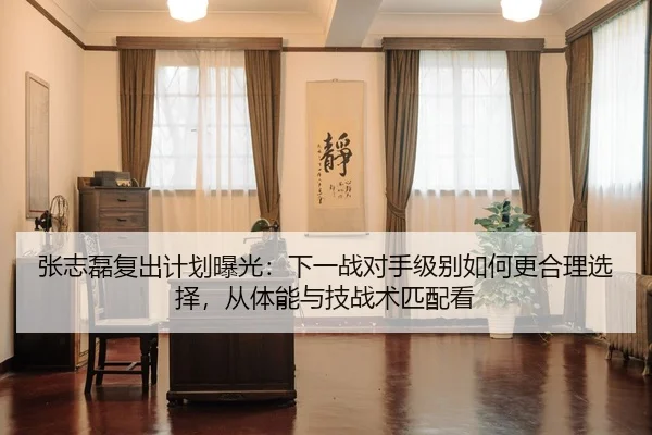 张志磊复出计划曝光：下一战对手级别如何更合理选择，从体能与技战术匹配看