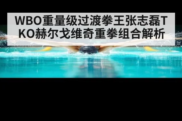 WBO重量级过渡拳王张志磊TKO赫尔戈维奇重拳组合解析