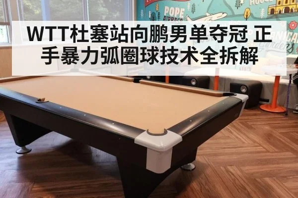 WTT杜塞站向鹏男单夺冠 正手暴力弧圈球技术全拆解